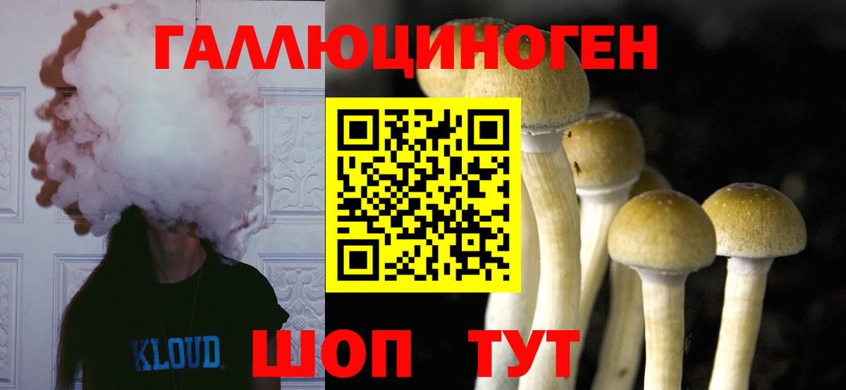 Галлюциногенные грибы Psilocybe  как найти закладки  Ноябрьск  Вход с VPN 